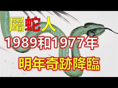 1989屬蛇幸運色|【1989蛇幸運色】1989蛇幸運色：解密屬蛇人最旺衣著色彩